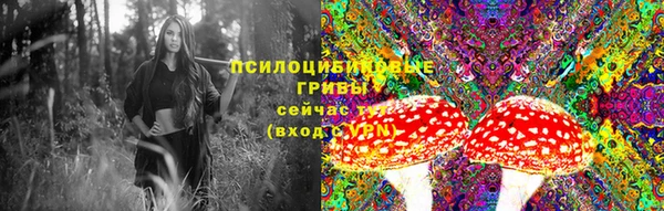 2c-b Богородицк