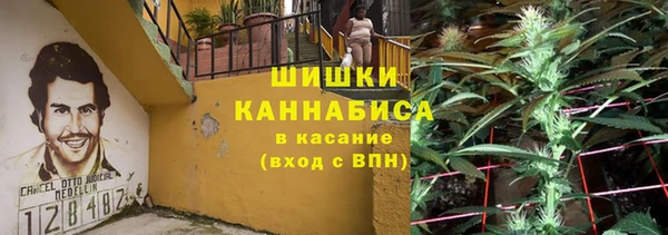 МДПВ Пестово