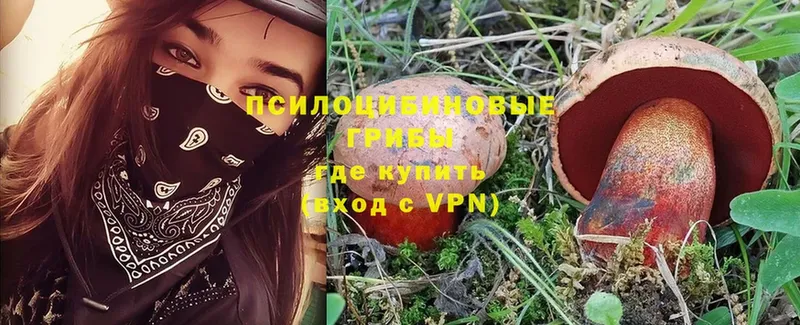 Псилоцибиновые грибы Magic Shrooms  сколько стоит  Сорск 