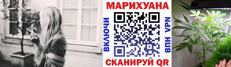 купить наркоту  Сорск  Бошки Шишки марихуана 